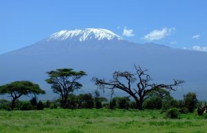 kilimandžaro